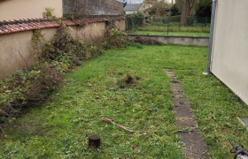 Abattage d'un lilas