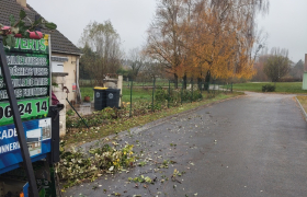 Abattage d'une haie