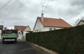 Taille d'une haie