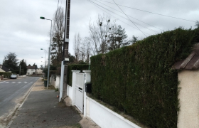 Taille d'une haie