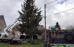 Taille en étages d’un sapin à Couy