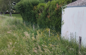 Elagage  Jussy-le-Chaudrier