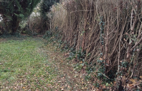 Elagueur Chaumoux-Marcilly