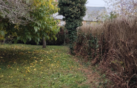 Elagueur Chaumoux-Marcilly