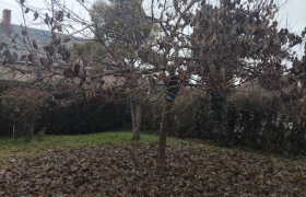 Elagueur Chaumoux-Marcilly