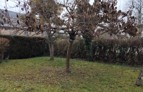 Elagueur Chaumoux-Marcilly