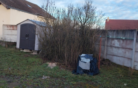 Élagage d'arbre à Bourges 