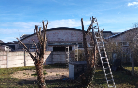 Élagage d'arbre à Bourges 