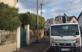 Taillage d'une haie à Bourges 1