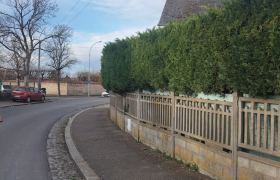 Taillage d'une haie à Bourges 4