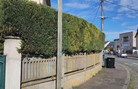 Taillage d'une haie à Bourges 2