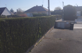 taille d'une haie