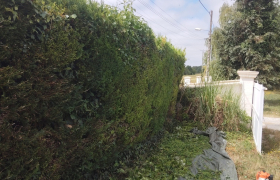 taillage d'une haie à Bourges